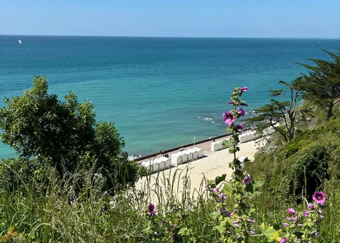 L\'Annexe, F2 Avec Jardin, 800 M De La Plage